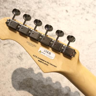 FUJIGEN(FGN) NTE110MMHT ~Natural~ #H240182 【3.35kg】 image 10