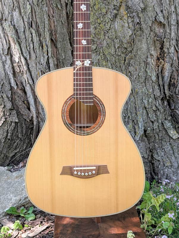 Van Gundy Customs The Spring Falcate Braced Acoustic Guitar image 1
