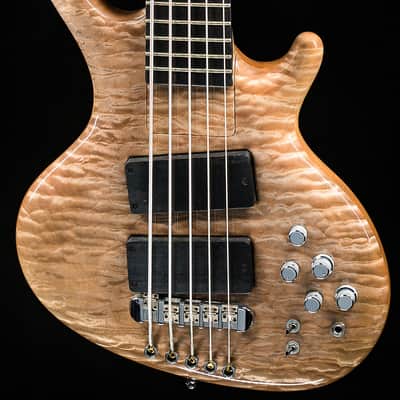 Ritter Roya 5-String Captain Silver USED (183) image 1