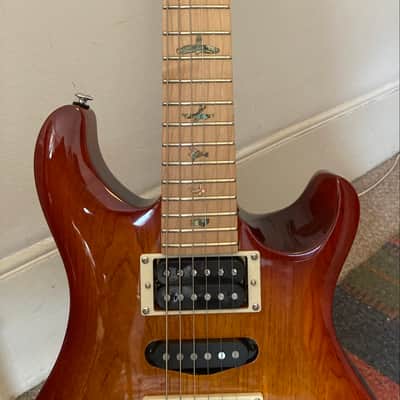 PRS SE Swamp Ash Special image 4