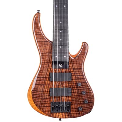 G.Gould GGi5 – Flame Walnut Top – Torrefied Pine Body – Graphite Composite Neck – 8.1 pounds – 1464 image 12
