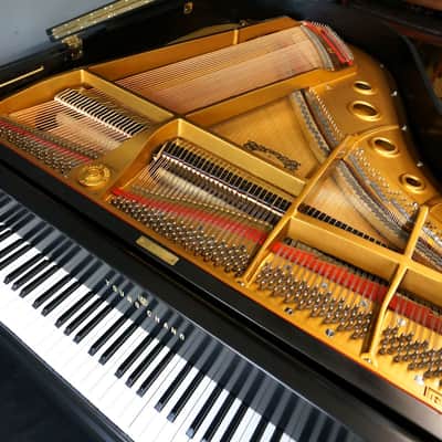 Young Chang G175 Baby Grand Piano Ebony Satin image 5