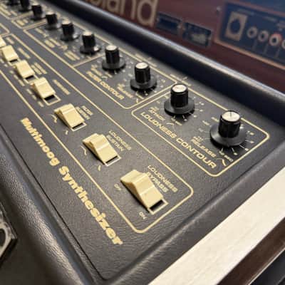 Immagine Moog Multimoog - 5