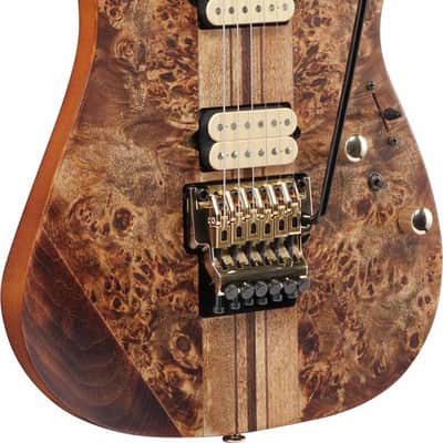 Ibanez RGT1220PB-ABS Premium RGT Electric Guitar 6-String - Antique Brown Stained + Gig Bag image 5