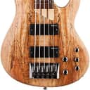 ESP LTD B-205SM Spalted Maple Five-String Bass Guitar, Natural Satin