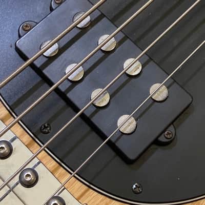Ernie Ball Music Man StingRay 4 H with Maple Fretboard 1995 image 9