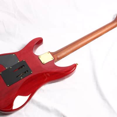 SCHECTER / EX-5B-24-CTM-FTR-PFN/CHSB/E Limited Product [107623] image 2