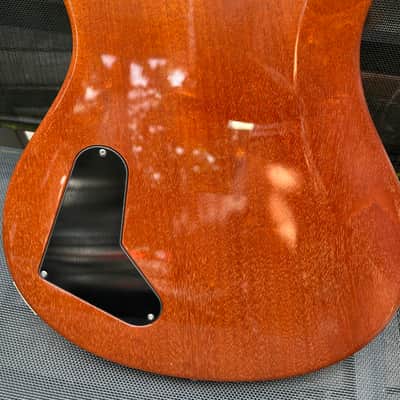 PRS Custom 22 Stoptail 10-Top 1993 - 2001 - Tortoise Shell image 22