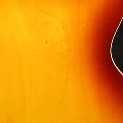 Gibson Custom Shop Larry Carlton ES-335 2010 image 10