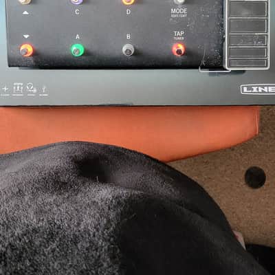 Immagine Line 6 POD GO Multi-Effect and Amp Modeler 2020 - Present - Black - 5