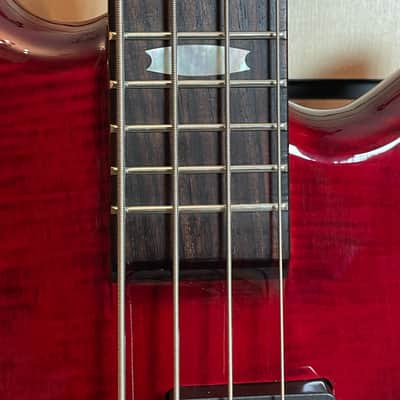 Spector Euro 4 LX Euro Series BCG Black Cherry Gloss E-Bass Gigbag Bild 4