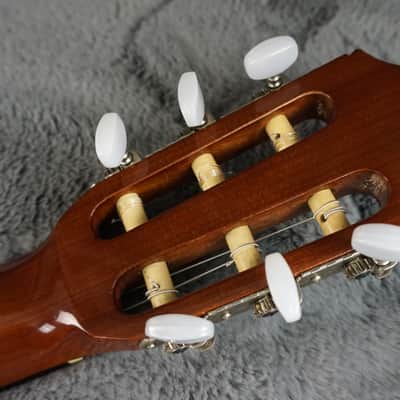 Morris MC-111 Japan Classical Guitar | Reverb