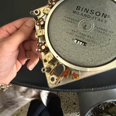 Binson echorec drum disc with heads image 2