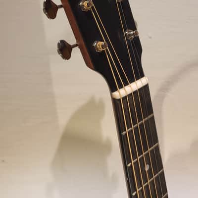 Eastman E1SS-SB 2023 image 12