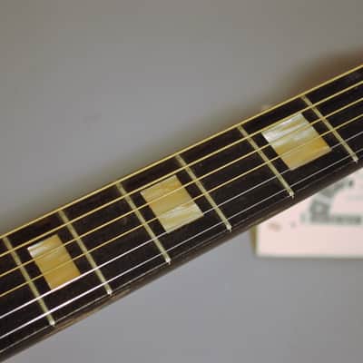 Vintage Stewart/ Harmony /Kay ,Wondertone 9013 Archtop image 7