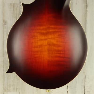 DEMO Gold Tone GM-80 - Cherry Burst Satin (058) image 4