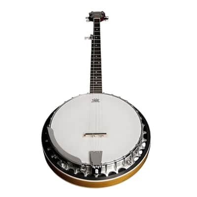 Washburn B9-WSH Americana Series Cast Aluminum Tone Ring Mahogany Neck 5-string Resonator Banjo w/Hard Case image 1