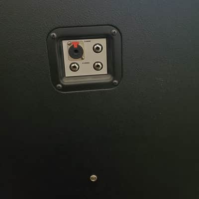 Splawn Custom 4x12 Cabinet image 5