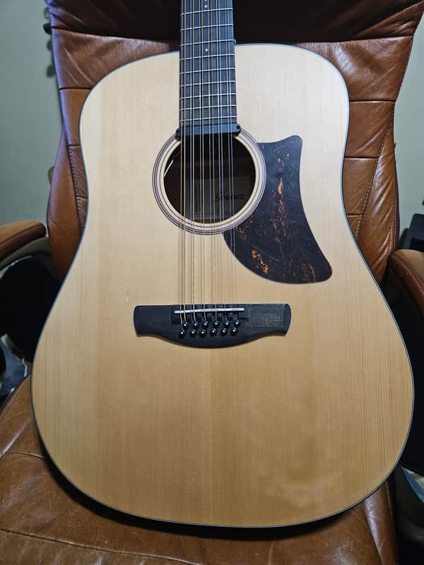 Ibanez AAD1012E Bought in 2025 - Natural image 1