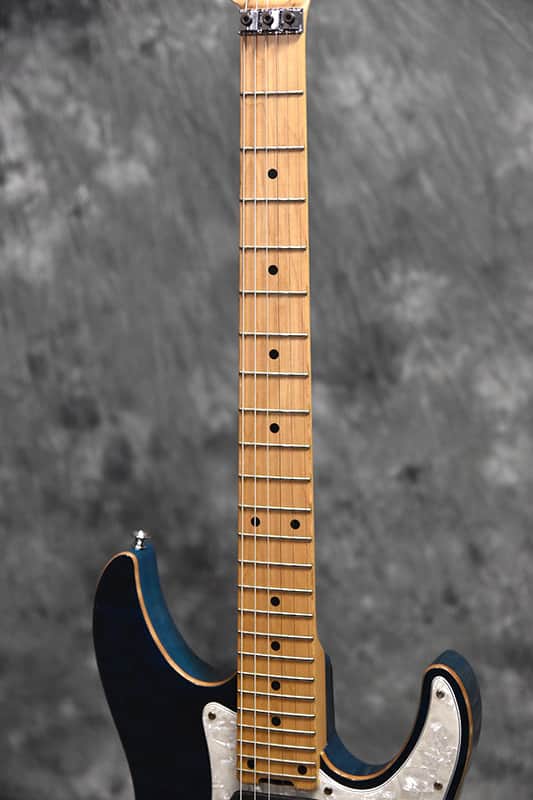 SCHECTER EX-Ｖ-24 SCHECTER EX-V-24CTM FRT M | eBay