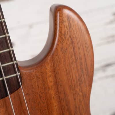 Alien Audio Constellation 5 String Bass - Satin Natural image 16