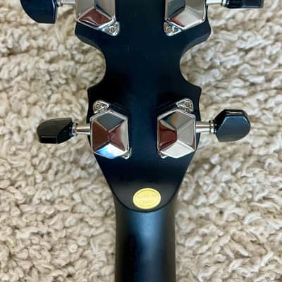 Gold Tone AC-Mini Acoustic Composite Banjo with Gig Bag image 4