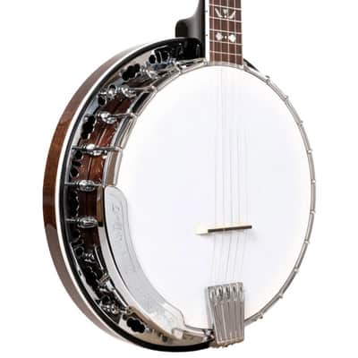 Gold Tone 5-String Bluegrass Banjo with Flange & Gig Bag image 1