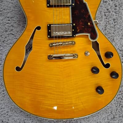 D'Angelico Excel DC Semi-Hollow Body Electric Guitar w/Hard Case Vintage Natural image 4