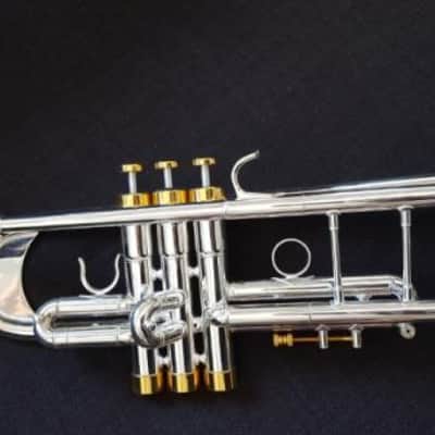 Berkeleywind Bb C Trumpet (Silver) w/D2H Heavy Cap Mouthpiece (Moneet style) image 8