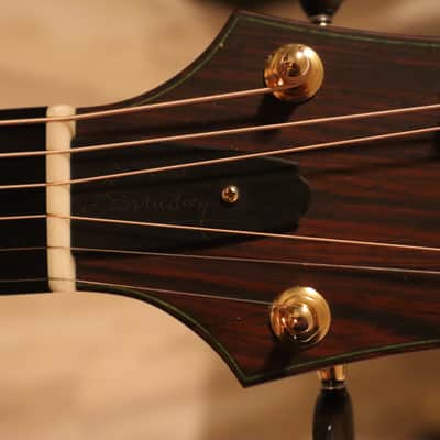 Kevin Ryan Nightingale - Pierre Bensusan image 5