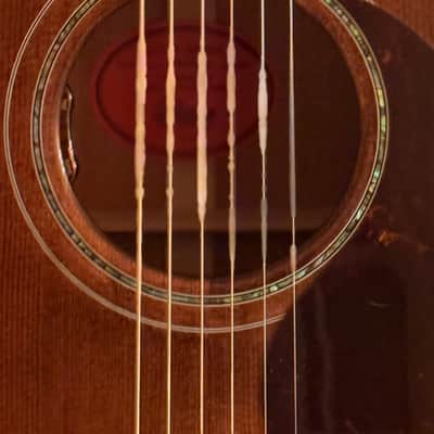 Gibson J-45 Custom Select Grizzly Burst (2026) *SUPER RARE* image 5