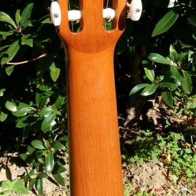 1975 Manuel G. Contreras (1st generation) Classical Guitar Calle Mayor 80, Madrid Cedar Top / Rosewood Body Original Hard Case image 13