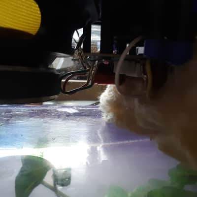 HEMPOPOTAMUS FISH TANK SPEAKER KEVLAR WOOFERS WITH RUBBER SURROUND WITH GRAVEL PUMP AND BUBBLER 1 image 7