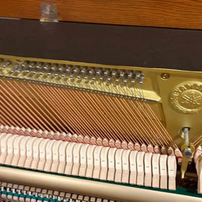Yamaha piano P22 uplight image 7