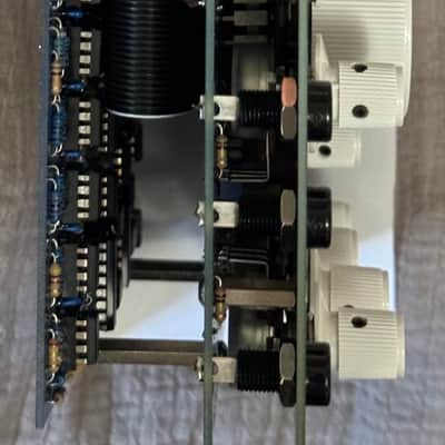Buchla Clone Model 259 Programmable Complex Waveform Generator- Vintage Build 2020 - Black and White image 4