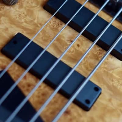 Kingston Z5 Ebonol Fretless - V2  - Natural Gloss image 9