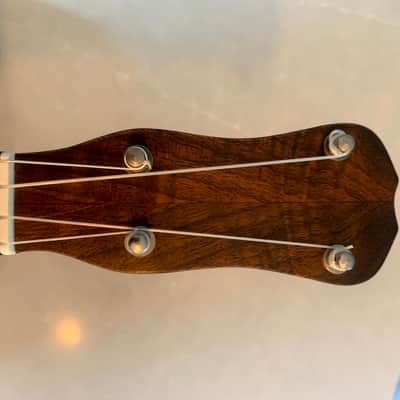 1920s Slingerland Banjolele image 14