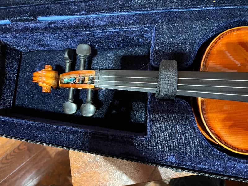 Cathedral VS Violin 4/4 - Full Kit with Case, Bow, String, | Reverb