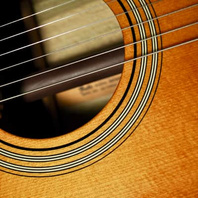 Fender Kingman Wildwood 1960s Wildwood/Natural image 14