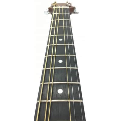 Gibson Epiphone PR-200 NS image 9