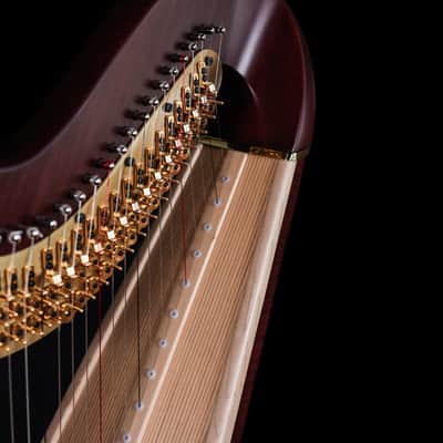 Lyon & Healy Chicago CGX - Chicago Line Pedal Harp - Mahogany image 8