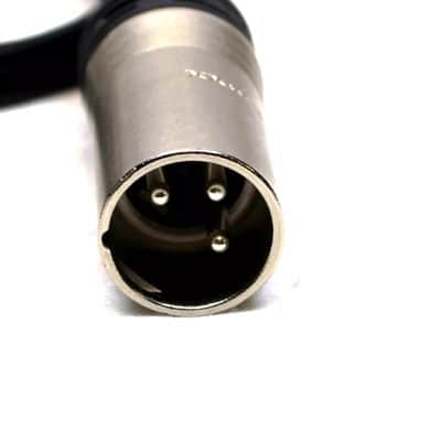LASE  LASE 1.5ft Y Cable w/ NEUTRIK One NC3MXX 3-Pin XLR Male to Two NC3FXXX Female image 4
