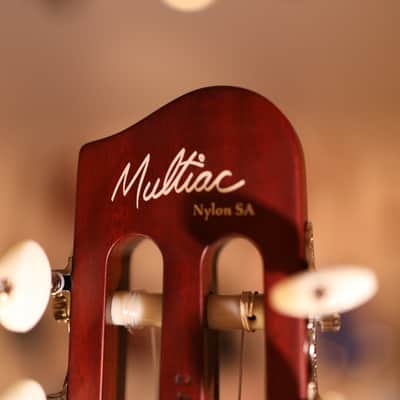 Godin MultiAc Nylon SA Acoustic-Electric Guitar Rosewood 9902 Top image 12