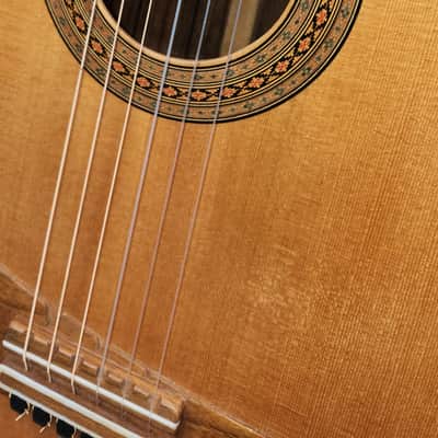 Mario Garrone Classical - Spruce and Brazilian Rosewood image 4