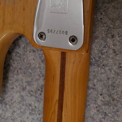 Music Man Stingray 1978 - natur image 6