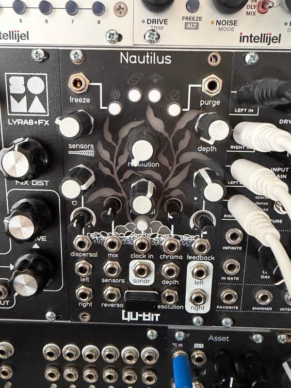 Qu-Bit Electronix Nautilus 2023 - Present - Black | Reverb