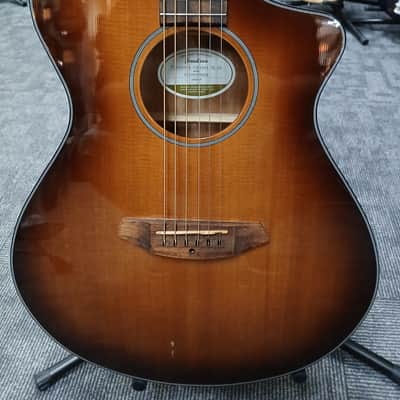 Breedlove Discovery Concert CE SB image 2