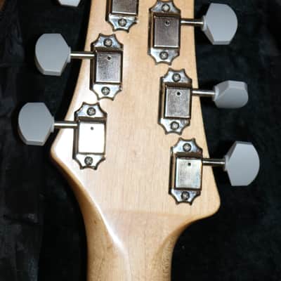 2019 USA PRS Silver Sky - Golden Mesa - No Tariffs image 11