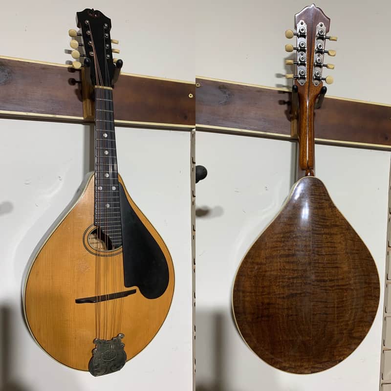 Lyon & Healy Style C Mandolin 1920 image 1