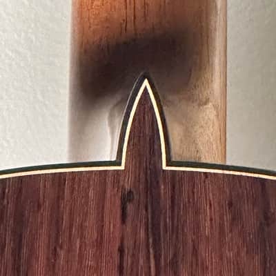 SAERS M900 Cocobolo 2025 - French polish image 11